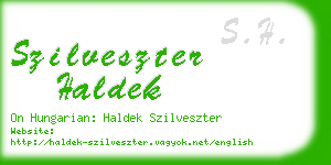 szilveszter haldek business card
